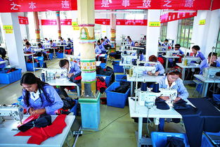 為農民鋪就家門口的致富路 浙江省產業援疆 百村千廠 工程掠影