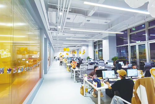 鍥而不舍 追 來10億元項(xiàng)目 皇家小虎 超級工廠 落戶新區(qū)背后的故事